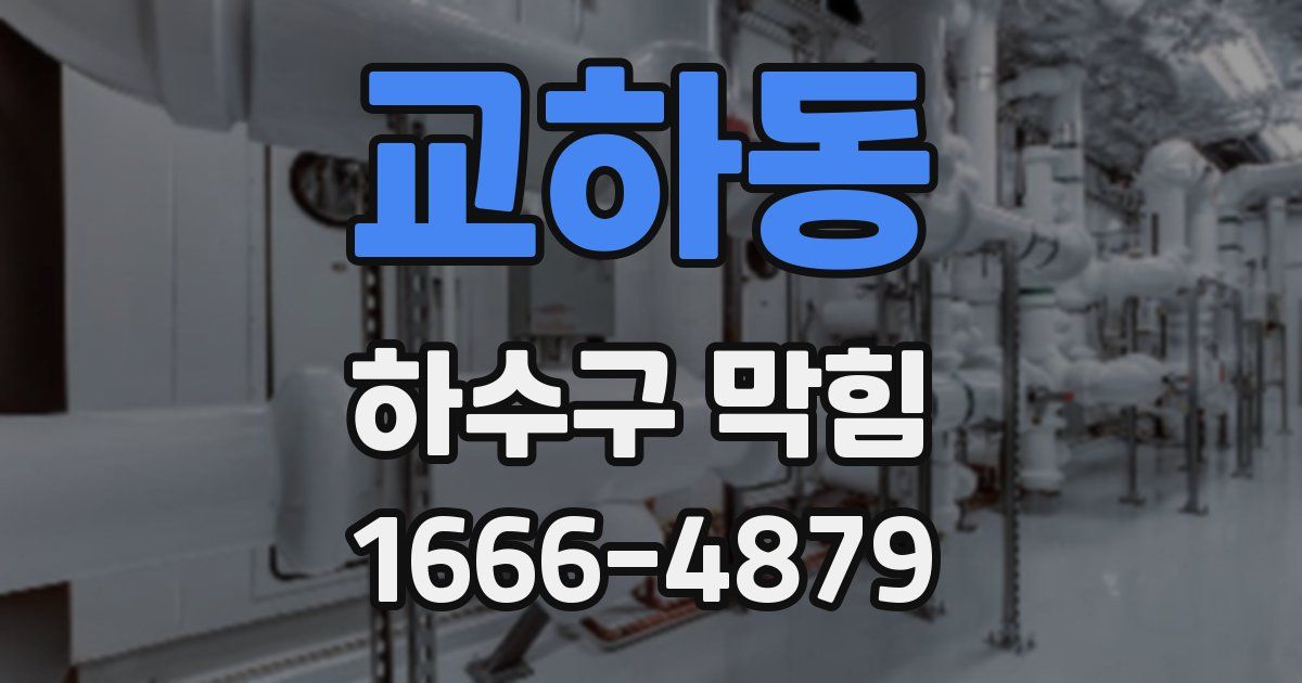 교하동 하수구 막힘