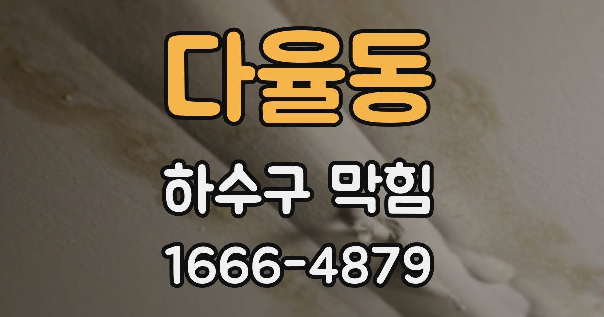 다율동 하수구 막힘