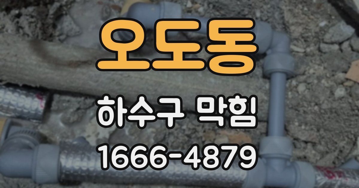 오도동 하수구 막힘