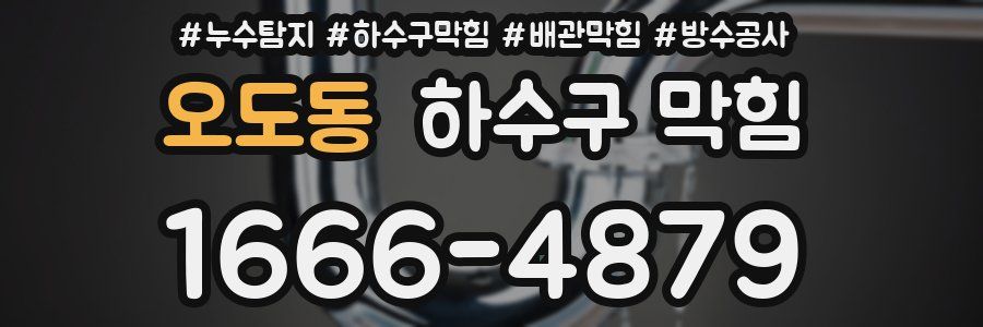 오도동 하수구 막힘