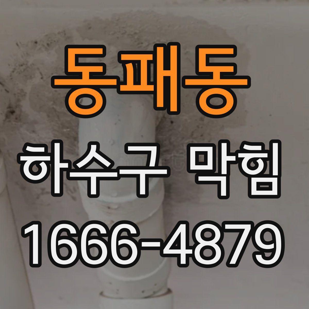 동패동 하수구 막힘