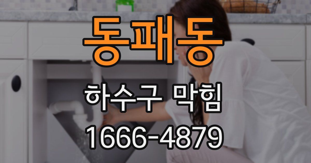 동패동 하수구 막힘