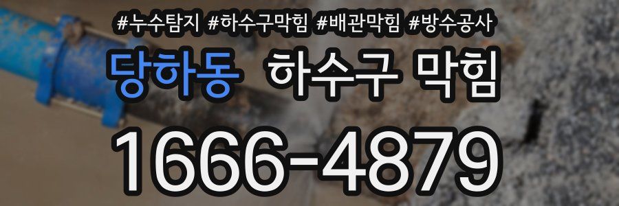 당하동 하수구 막힘