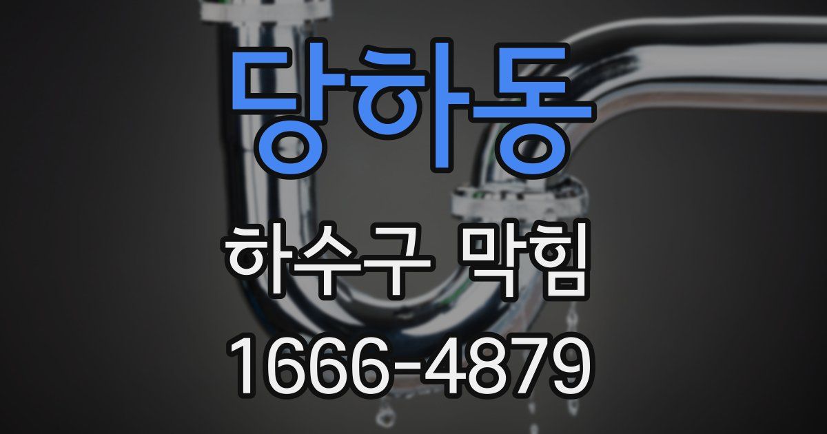 당하동 하수구 막힘