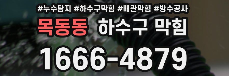 목동동 하수구 막힘