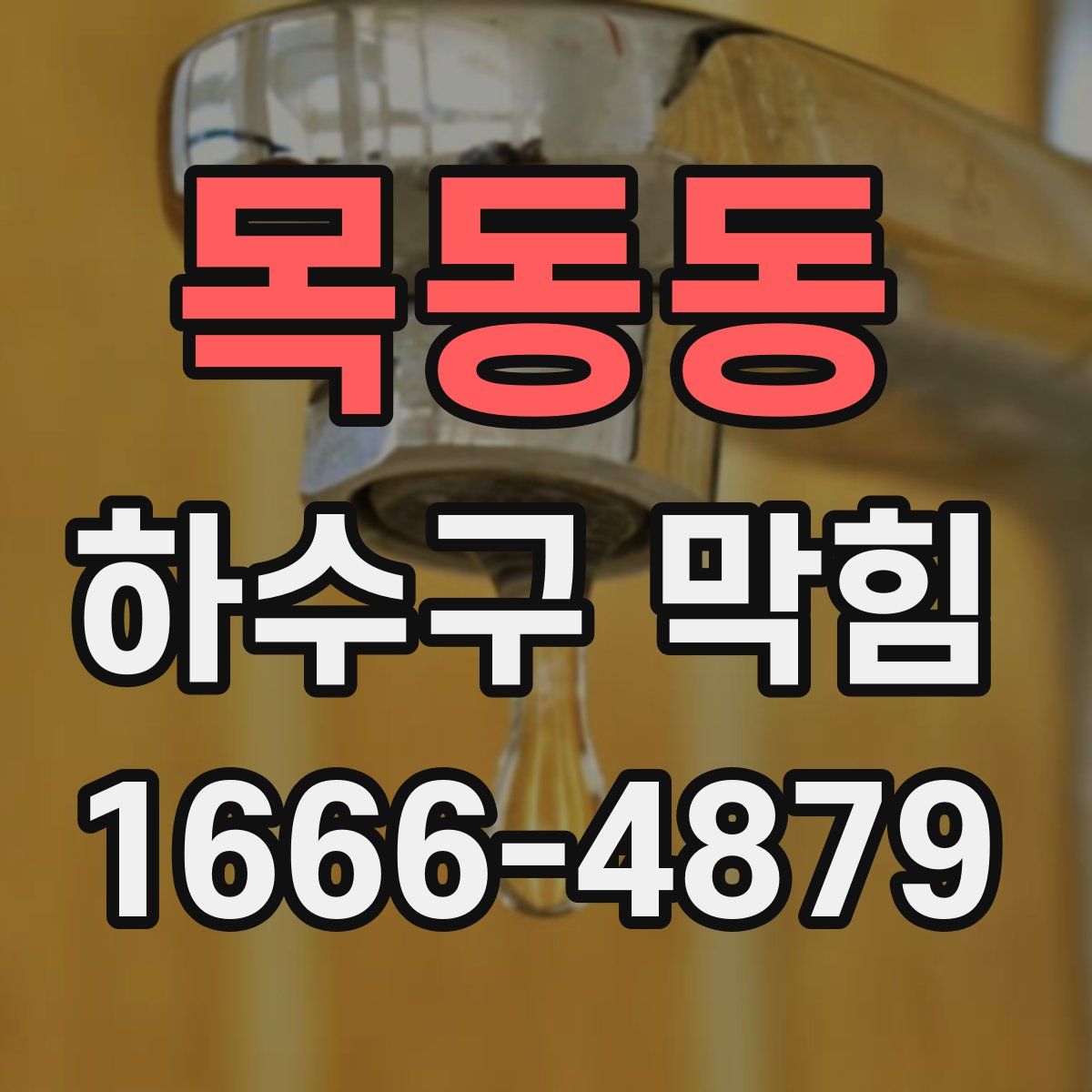 목동동 하수구 막힘