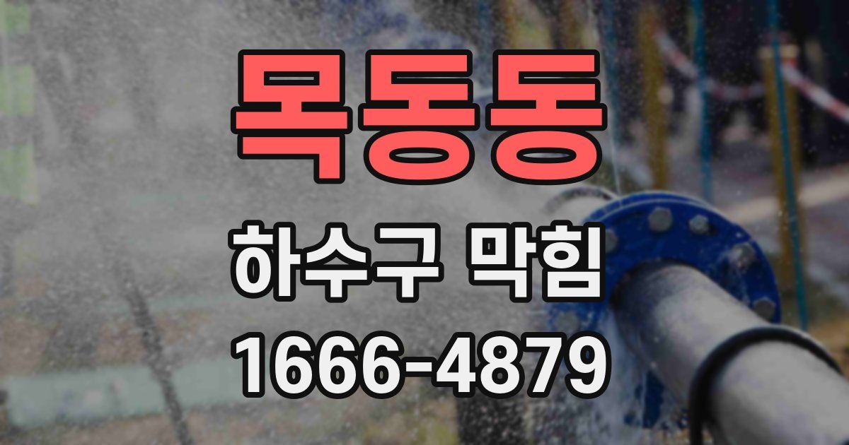 목동동 하수구 막힘