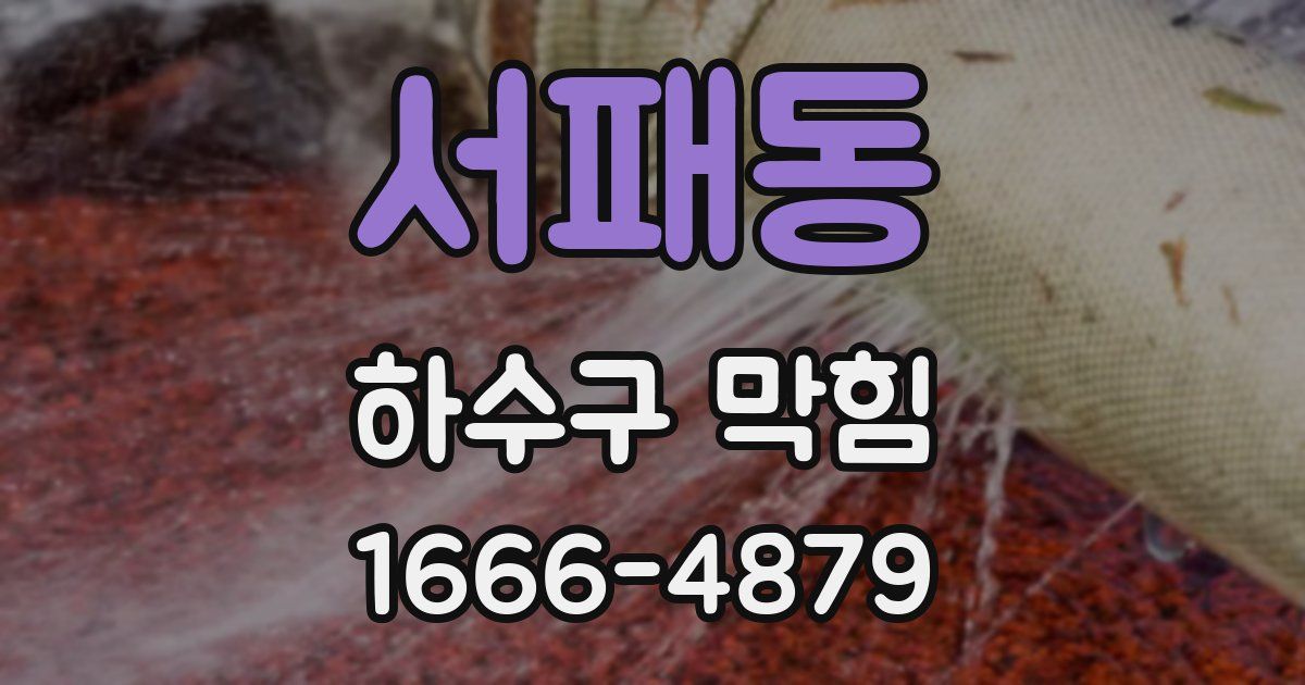서패동 하수구 막힘