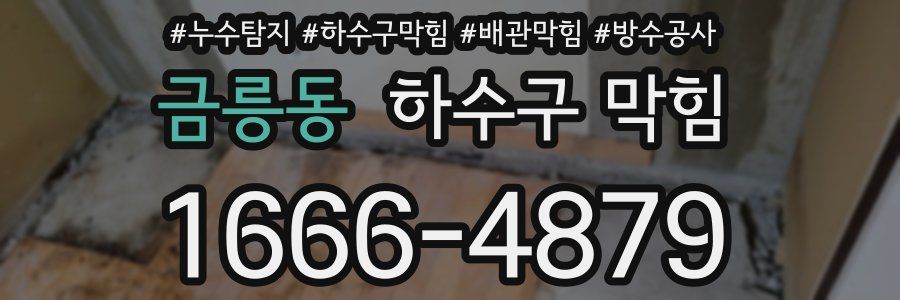 금릉동 하수구 막힘