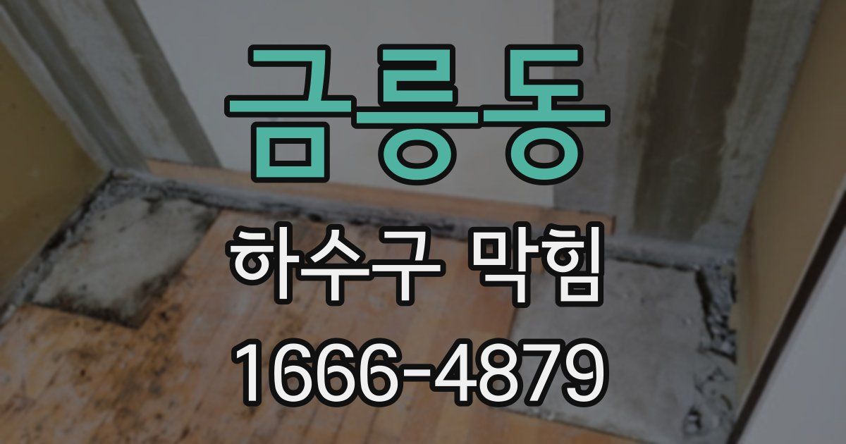 금릉동 하수구 막힘