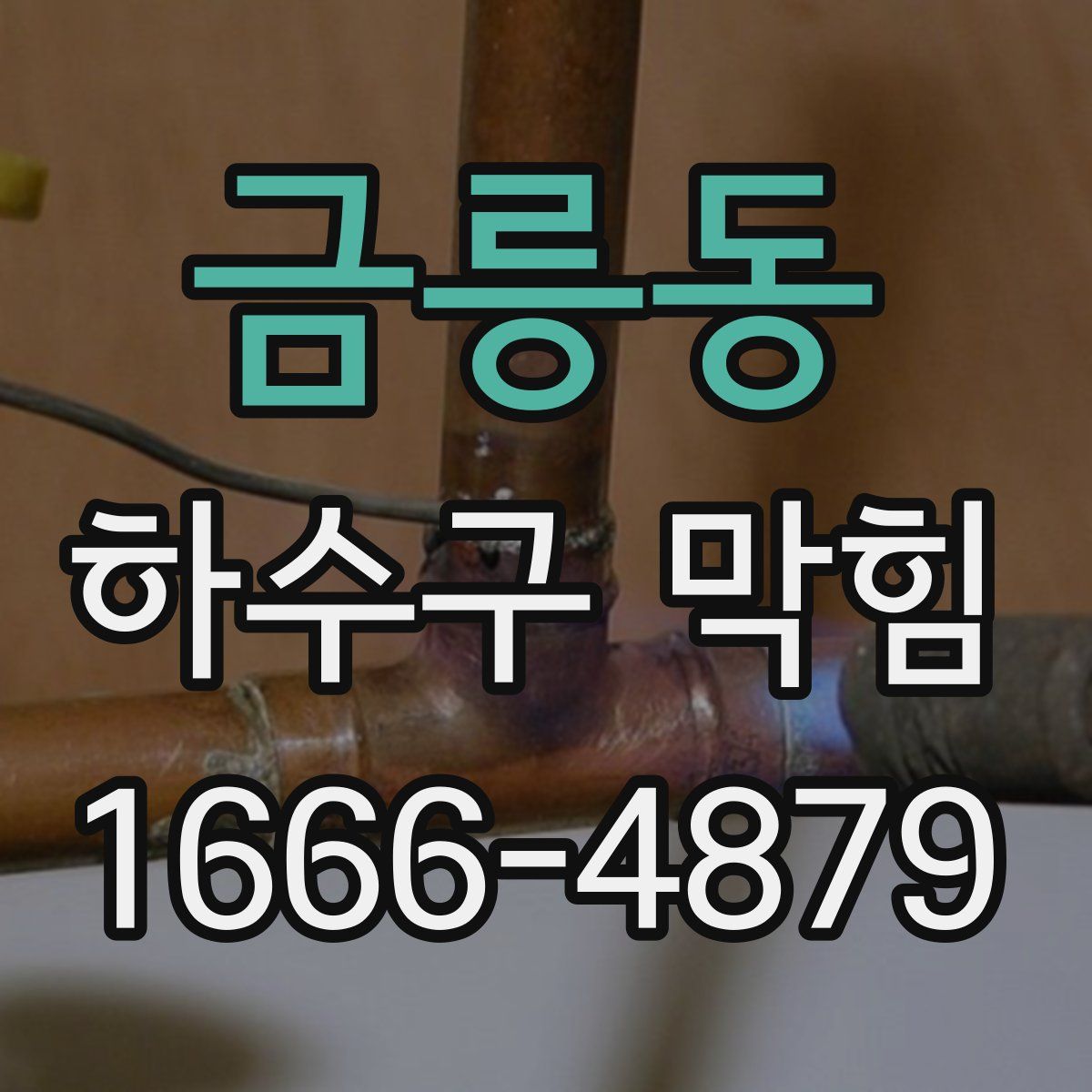금릉동 하수구 막힘