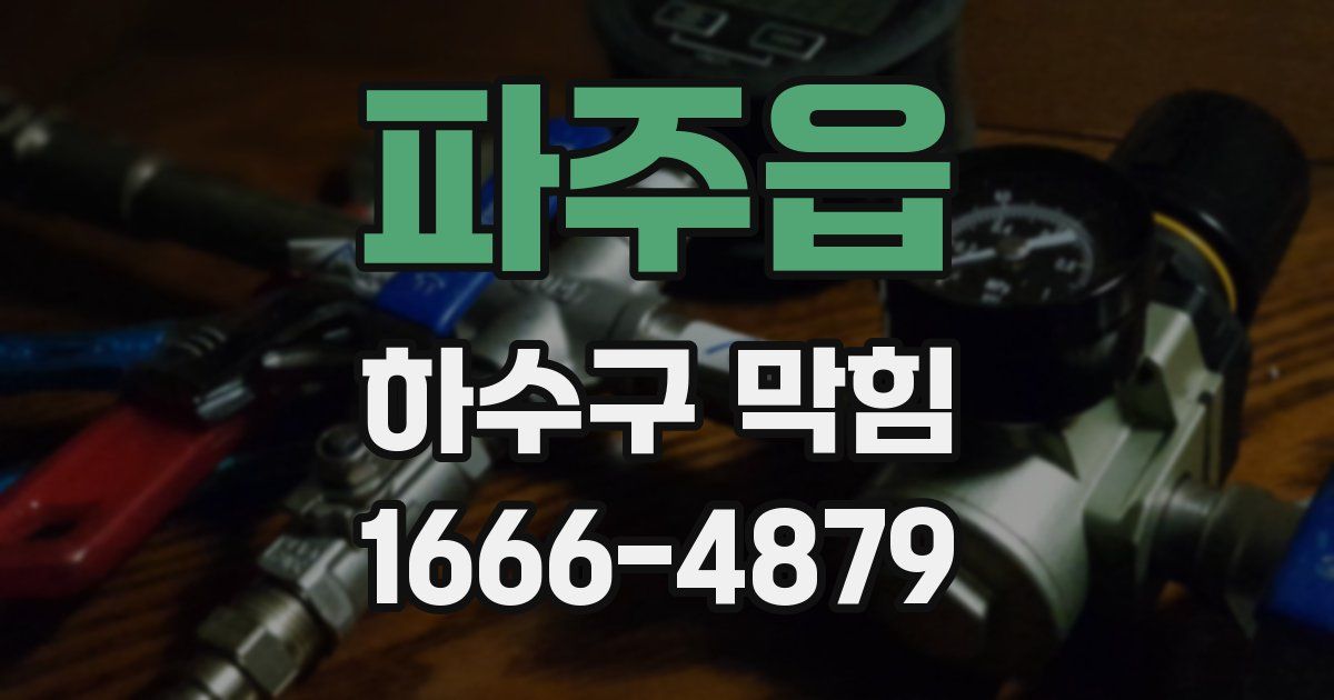 파주읍 하수구 막힘