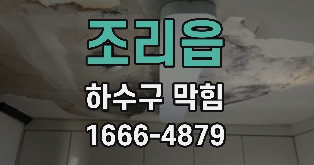 조리읍 하수구 막힘