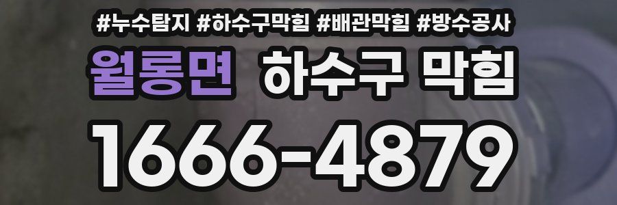 월롱면 하수구 막힘