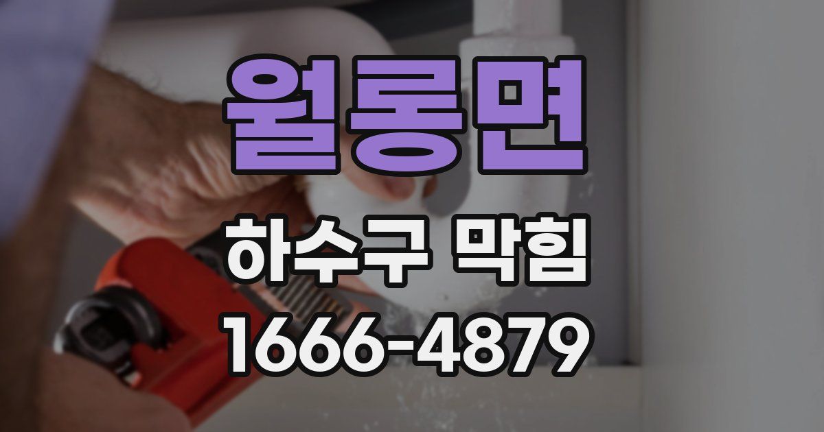 월롱면 하수구 막힘