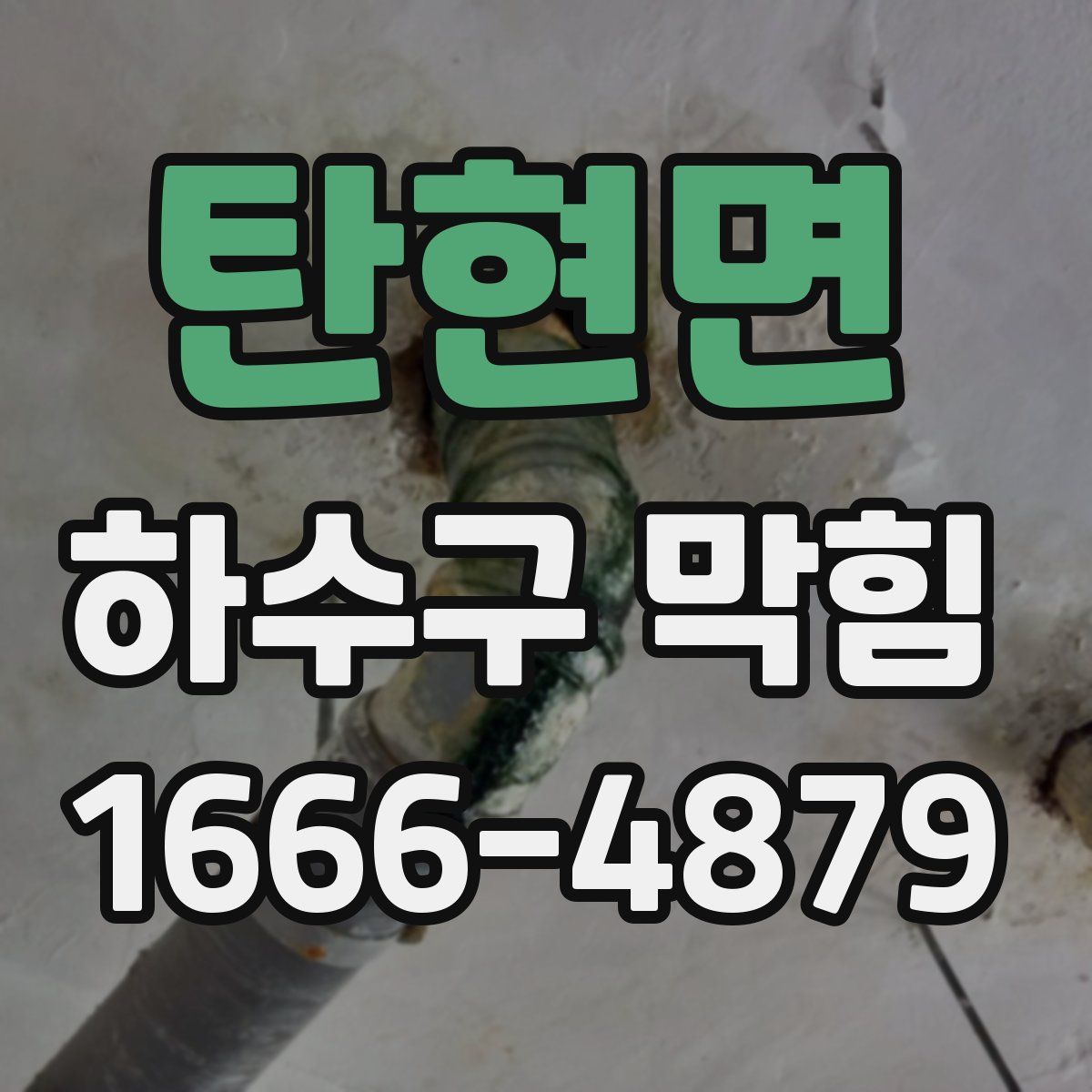 탄현면 하수구 막힘