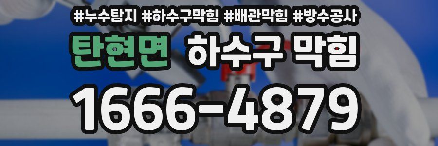 탄현면 하수구 막힘