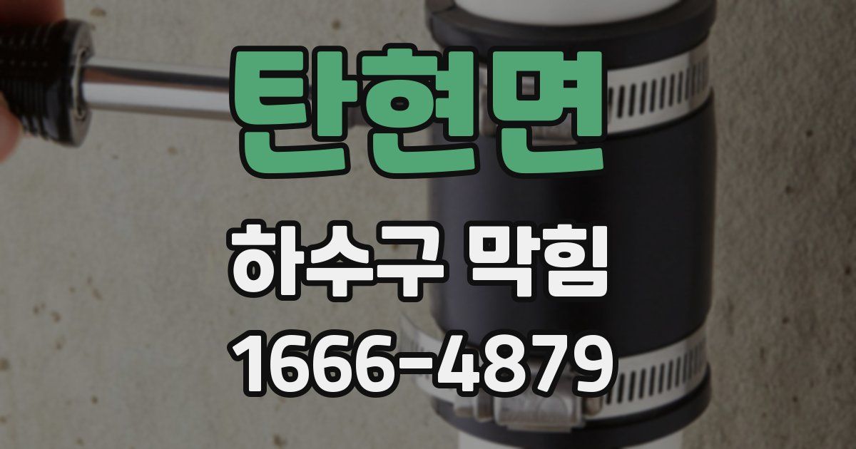 탄현면 하수구 막힘
