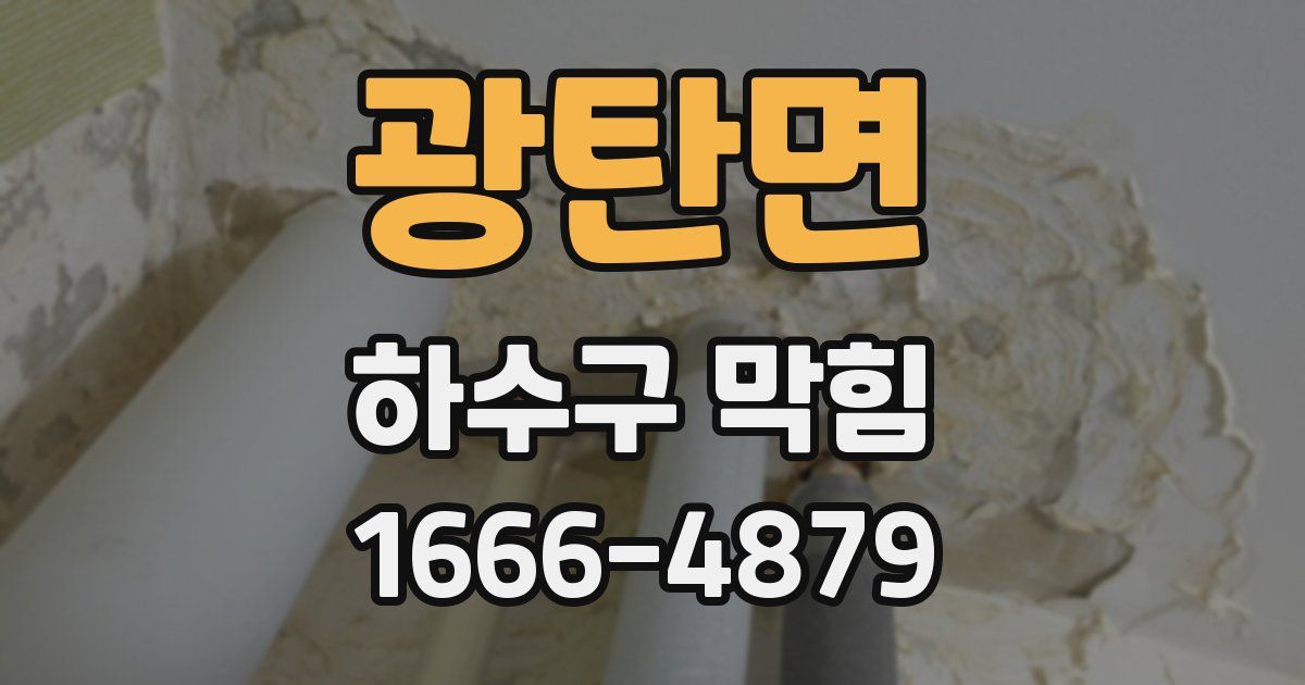 광탄면 하수구 막힘