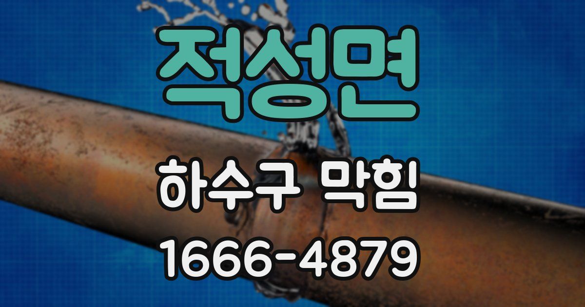 적성면 하수구 막힘