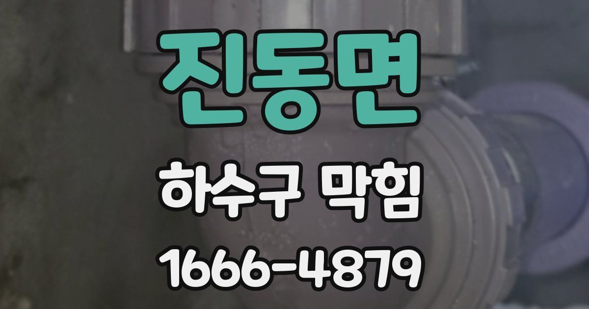 진동면 하수구 막힘