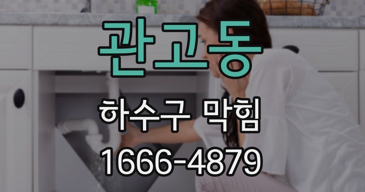 관고동 하수구 막힘