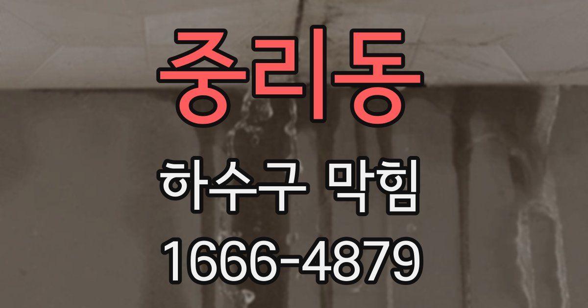 중리동 하수구 막힘