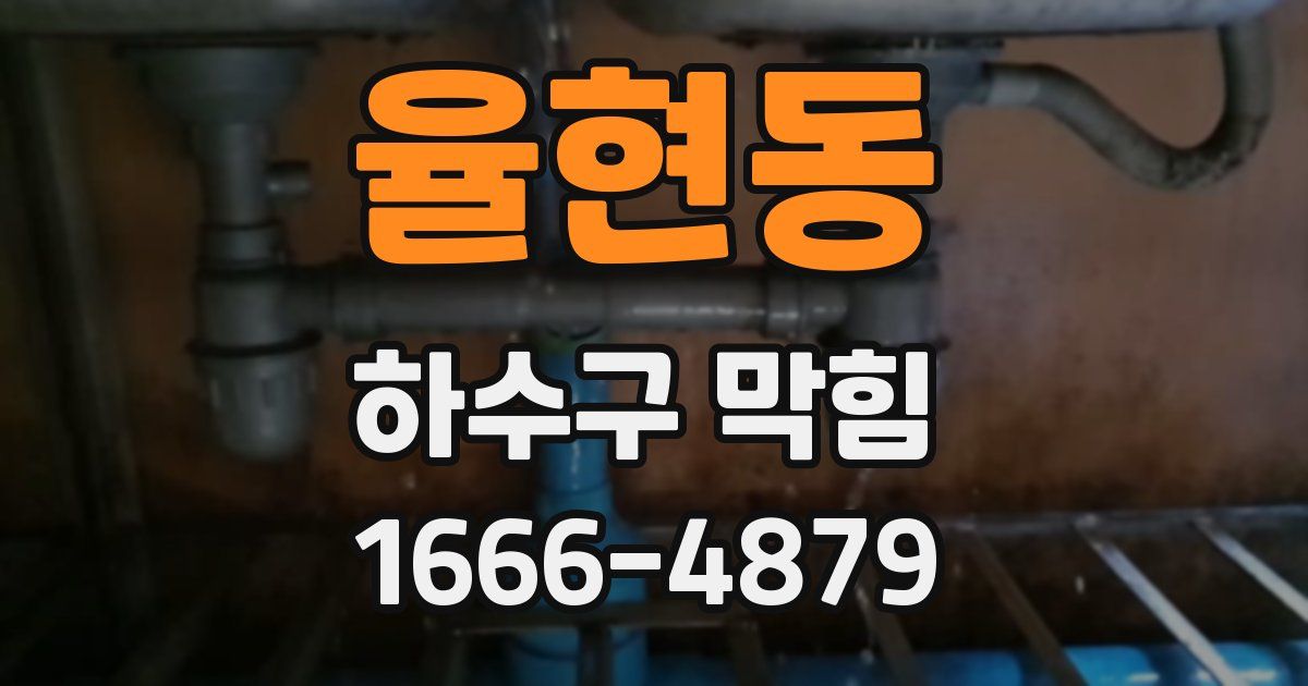 율현동 하수구 막힘
