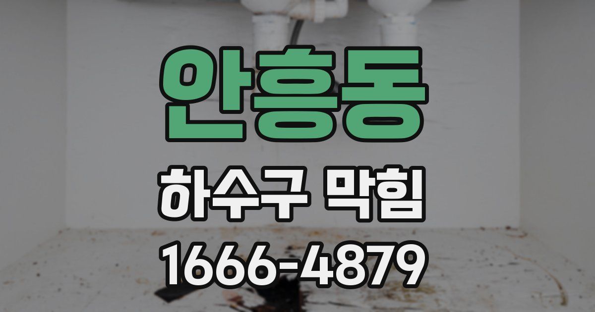 안흥동 하수구 막힘
