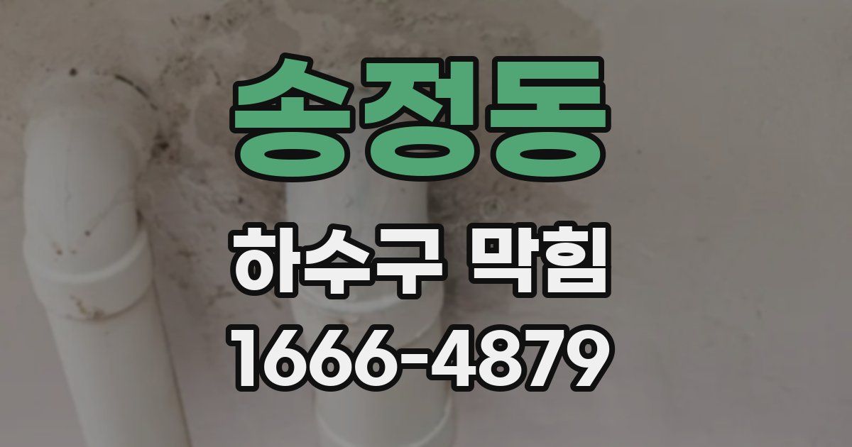 송정동 하수구 막힘