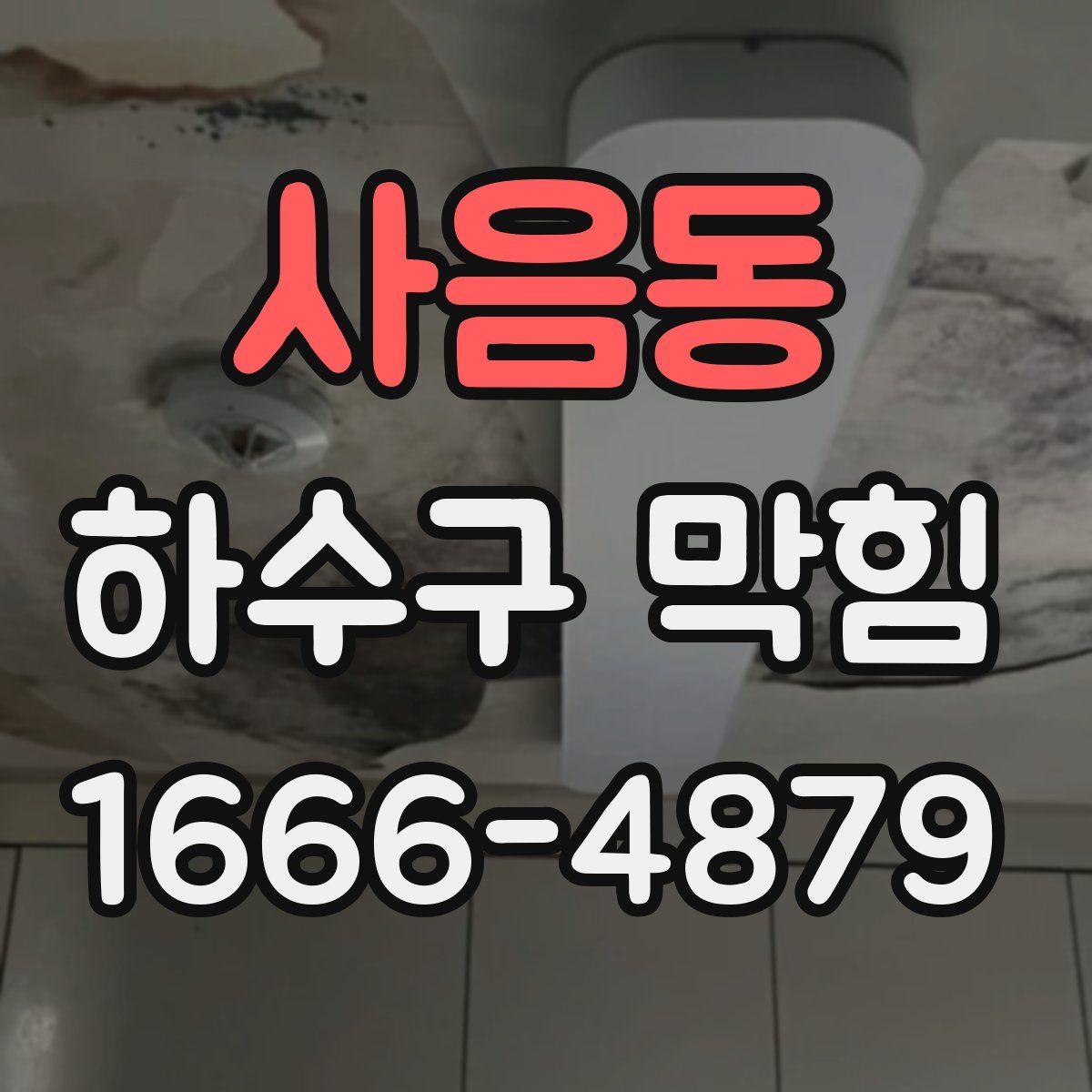 사음동 하수구 막힘