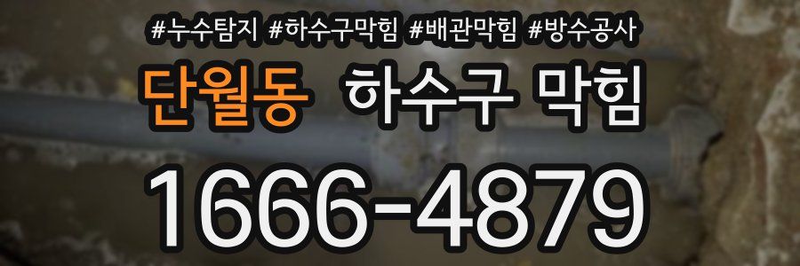 단월동 하수구 막힘