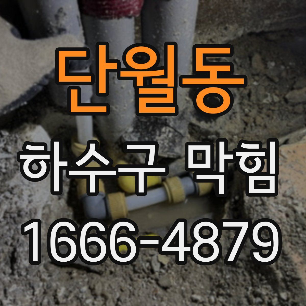 단월동 하수구 막힘