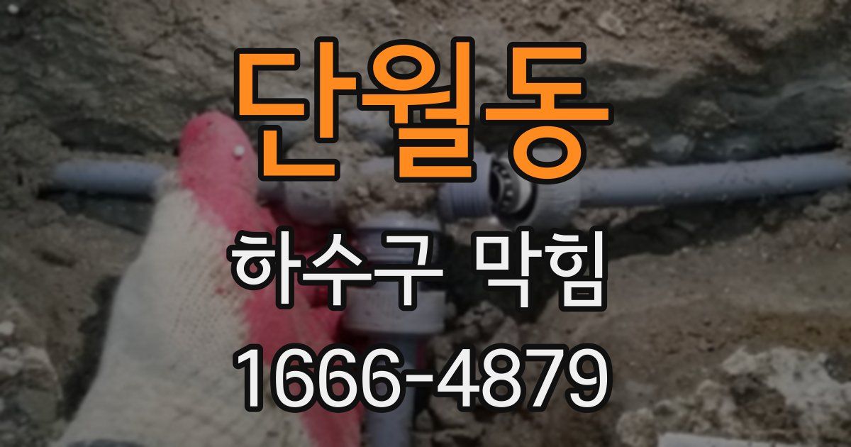 단월동 하수구 막힘