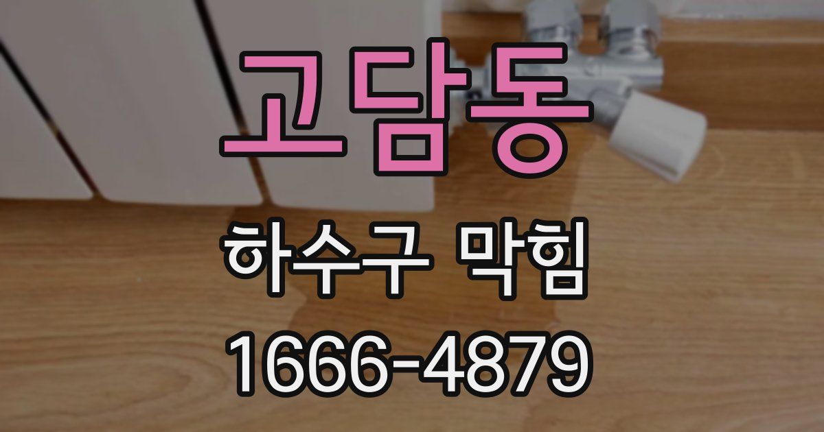 고담동 하수구 막힘