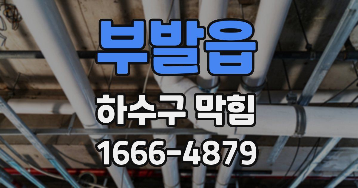 부발읍 하수구 막힘