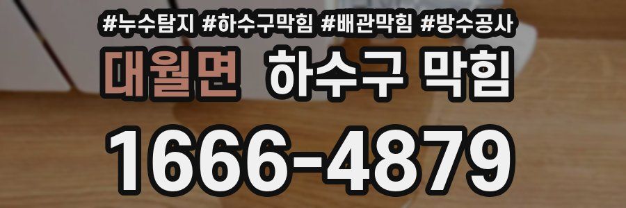 대월면 하수구 막힘