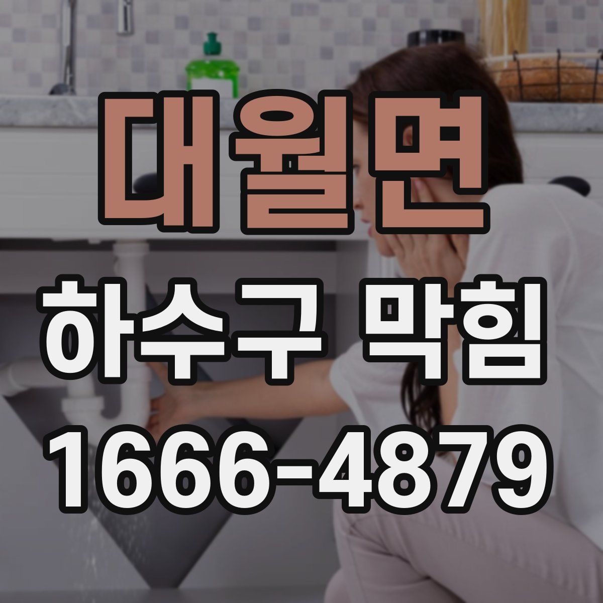 대월면 하수구 막힘
