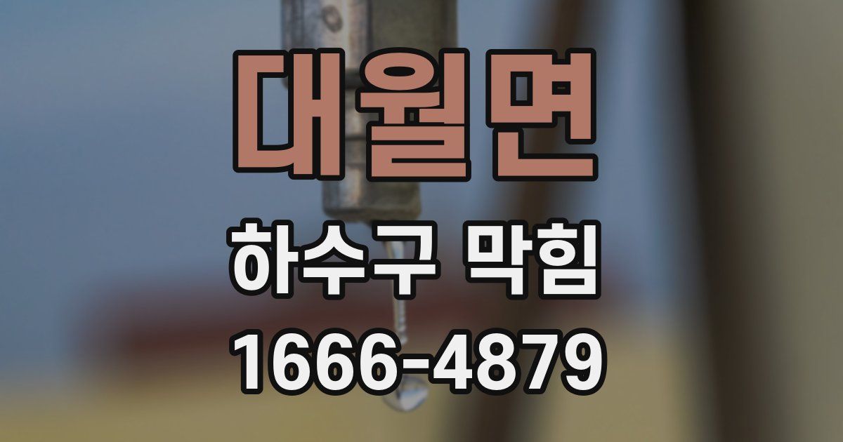 대월면 하수구 막힘