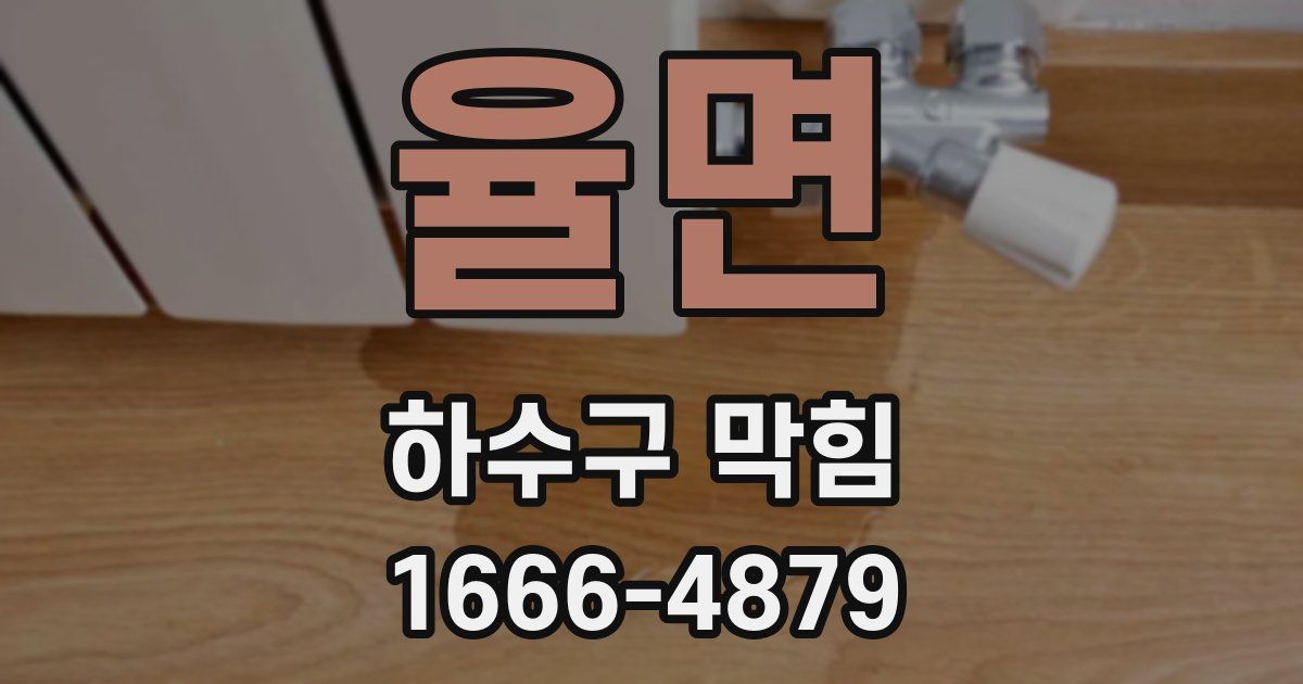 율면 하수구 막힘