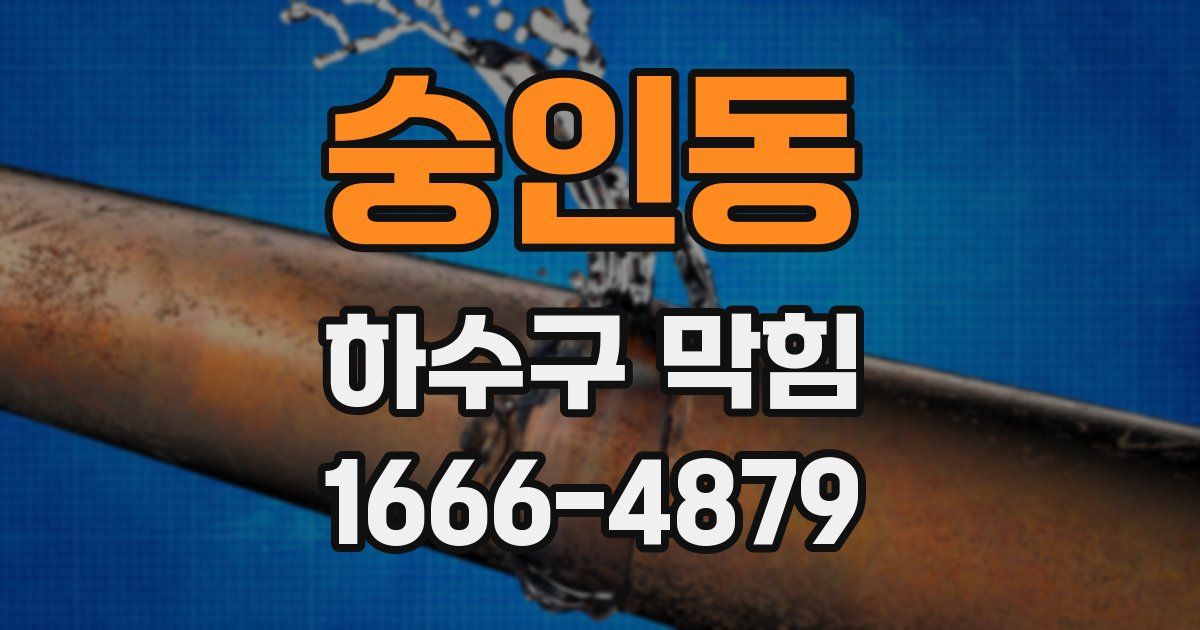 숭인동 하수구 막힘