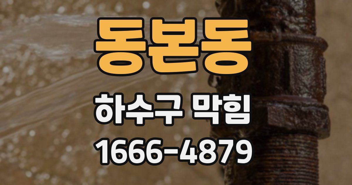 동본동 하수구 막힘