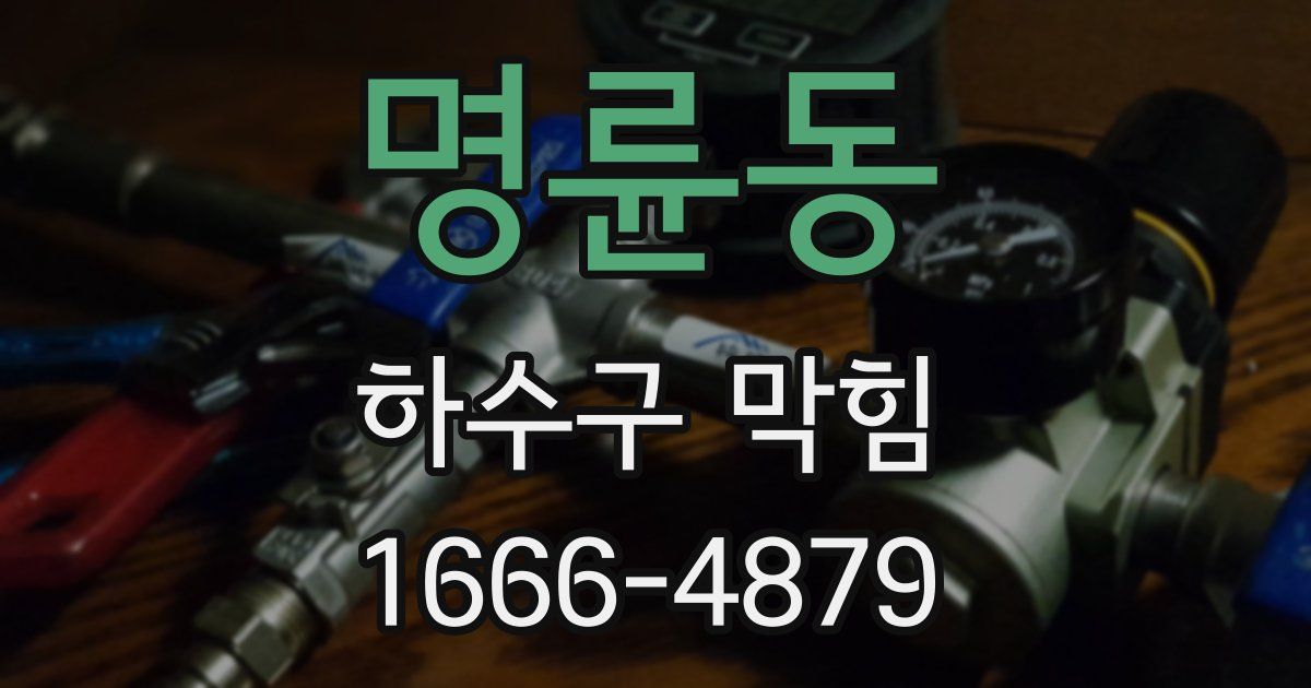 명륜동 하수구 막힘