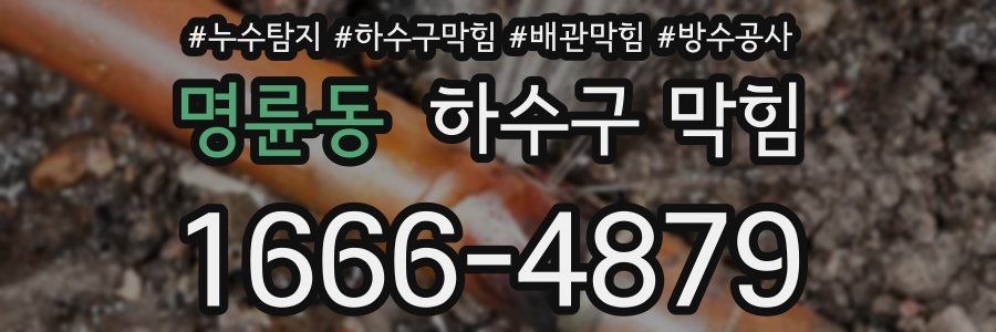 명륜동 하수구 막힘
