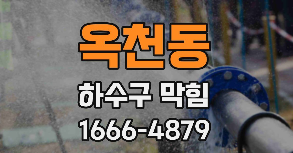 옥천동 하수구 막힘
