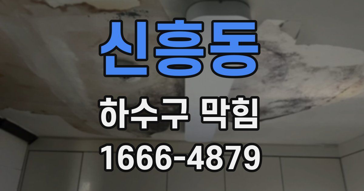 신흥동 하수구 막힘