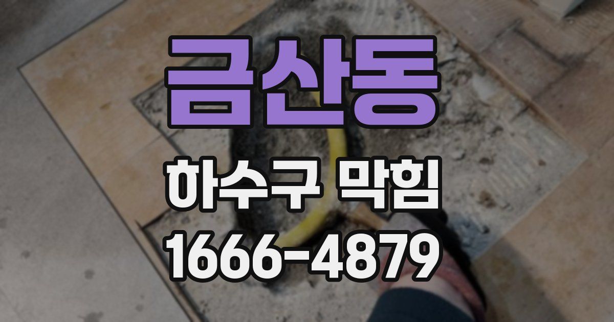 금산동 하수구 막힘