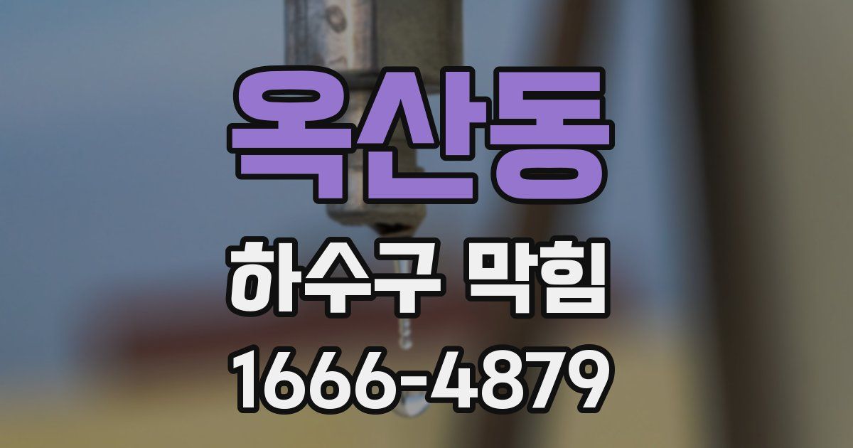 옥산동 하수구 막힘