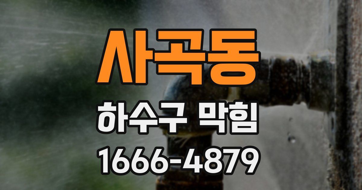 사곡동 하수구 막힘