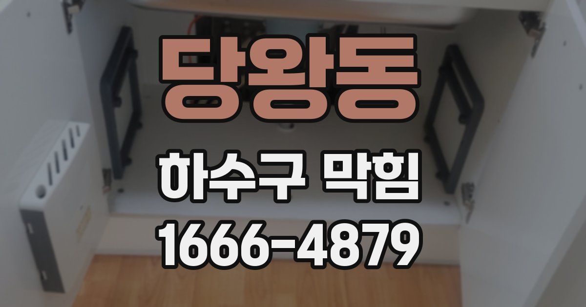 당왕동 하수구 막힘